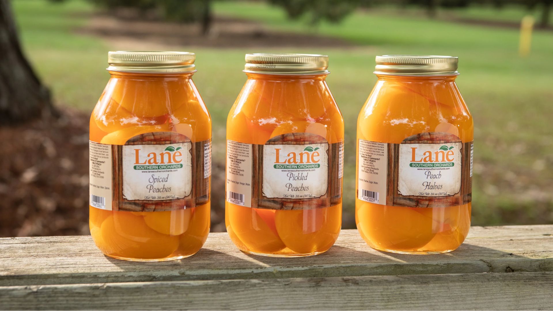 Lane Southern Orchards sits at 50 Lane Road near Fort Valley, about five minutes west of Interstate 75's Exit 142. That's close enough to work as a travel break for people heading through central Georgia.